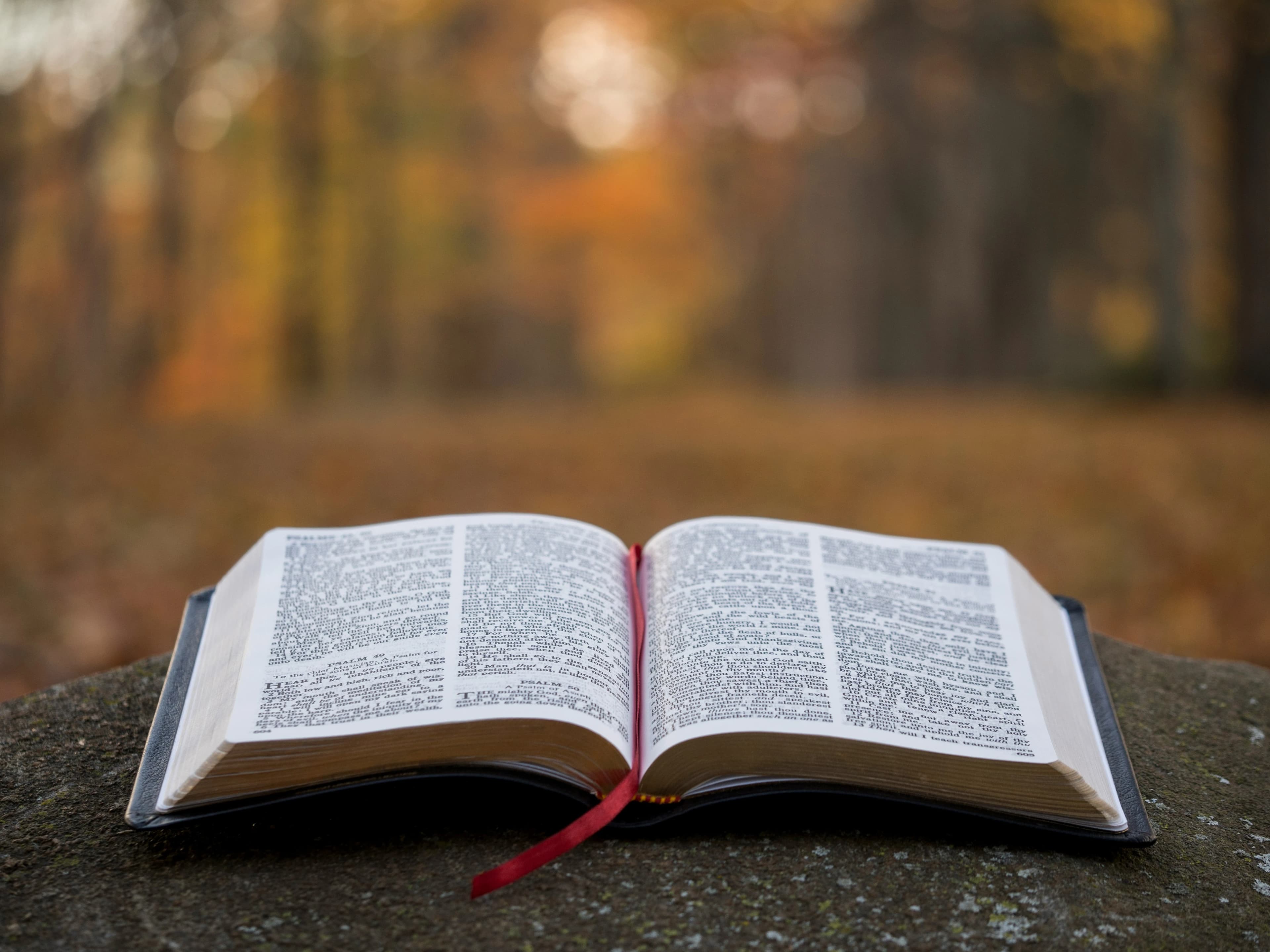 Studying the Word of God at RCCG King's Palace Parish